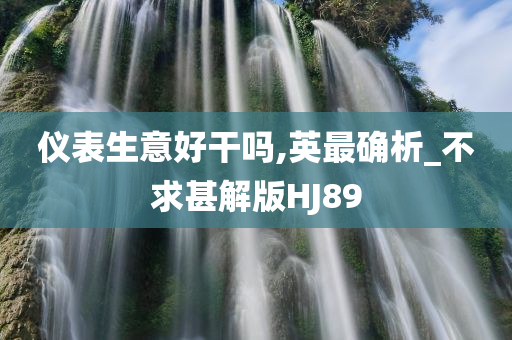 仪表生意好干吗,英最确析_不求甚解版HJ89