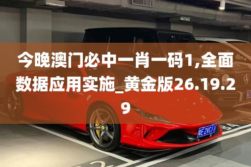 今晚澳门必中一肖一码1,全面数据应用实施_黄金版26.19.29