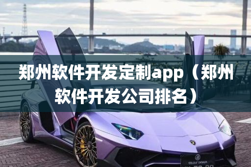 郑州软件开发定制app（郑州软件开发公司排名）