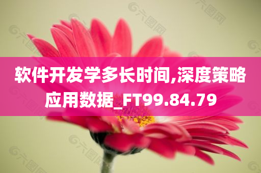 软件开发学多长时间,深度策略应用数据_FT99.84.79