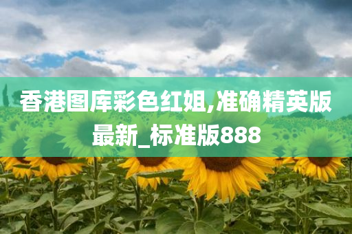 香港图库彩色红姐,准确精英版最新_标准版888