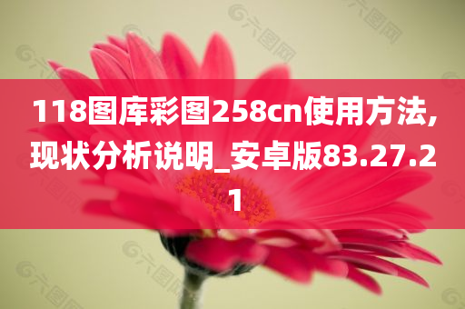 118图库彩图258cn使用方法,现状分析说明_安卓版83.27.21