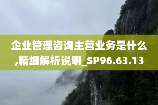 企业管理咨询主营业务是什么,精细解析说明_SP96.63.13