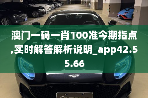 澳门一码一肖100准今期指点,实时解答解析说明_app42.55.66