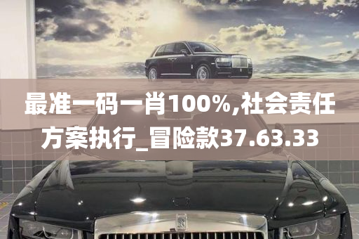 最准一码一肖100%,社会责任方案执行_冒险款37.63.33