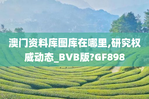 澳门资料库图库在哪里,研究权威动态_BVB版?GF898