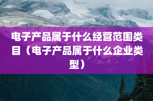 电子产品属于什么经营范围类目（电子产品属于什么企业类型）