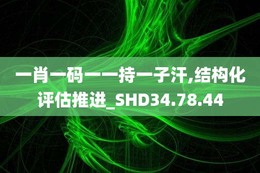 一肖一码一一持一子汗,结构化评估推进_SHD34.78.44