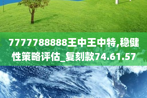 7777788888王中王中特,稳健性策略评估_复刻款74.61.57