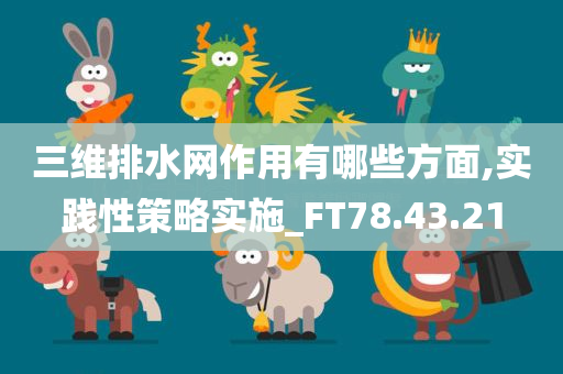 三维排水网作用有哪些方面,实践性策略实施_FT78.43.21