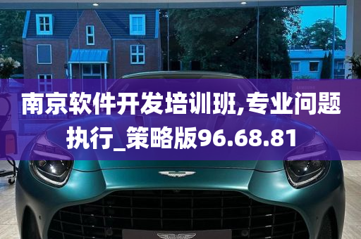 南京软件开发培训班,专业问题执行_策略版96.68.81