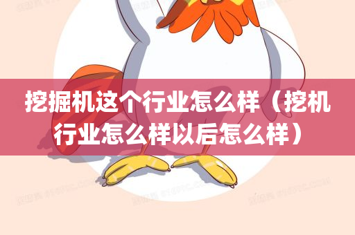 挖掘机这个行业怎么样（挖机行业怎么样以后怎么样）