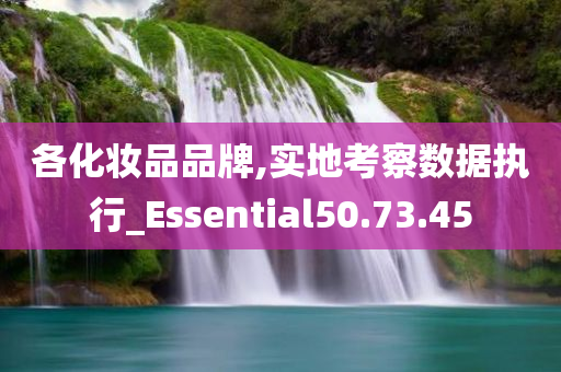 各化妆品品牌,实地考察数据执行_Essential50.73.45