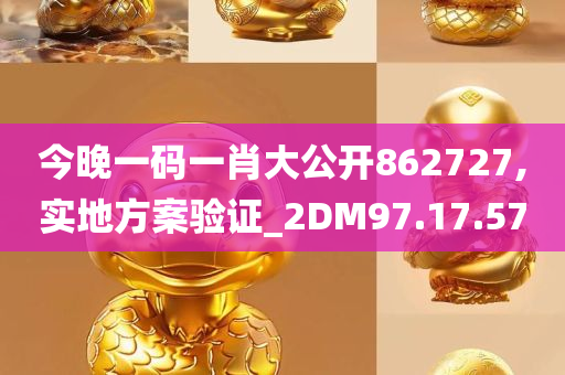 今晚一码一肖大公开862727,实地方案验证_2DM97.17.57