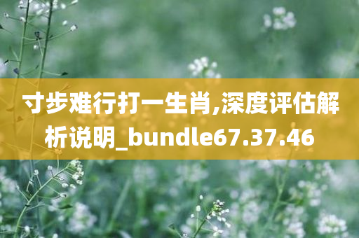 寸步难行打一生肖,深度评估解析说明_bundle67.37.46