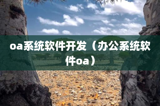 oa系统软件开发（办公系统软件oa）