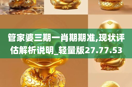 管家婆三期一肖期期准,现状评估解析说明_轻量版27.77.53