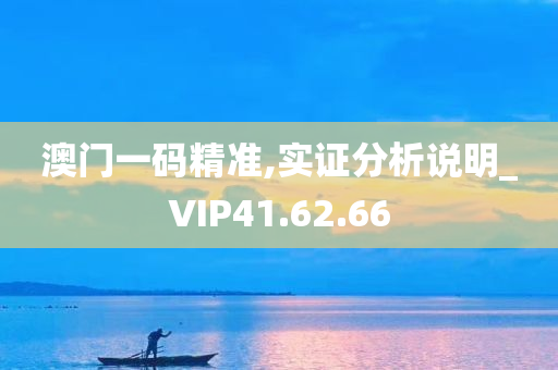 澳门一码精准,实证分析说明_VIP41.62.66