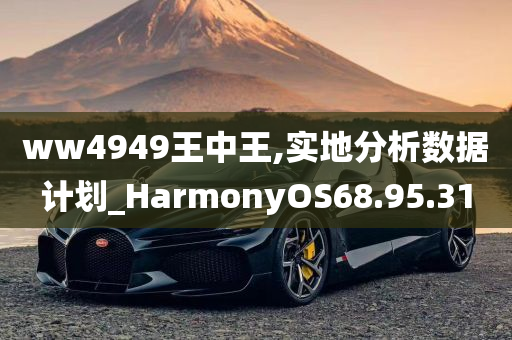 ww4949王中王,实地分析数据计划_HarmonyOS68.95.31