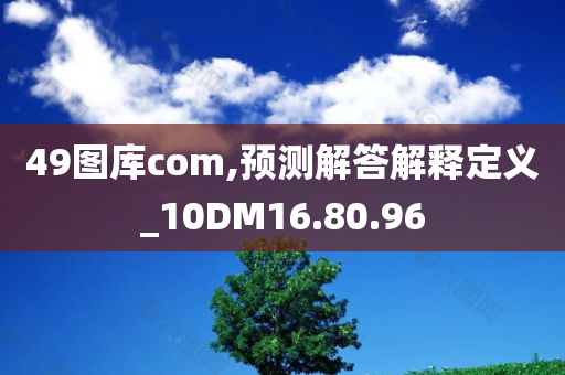 49图库com,预测解答解释定义_10DM16.80.96