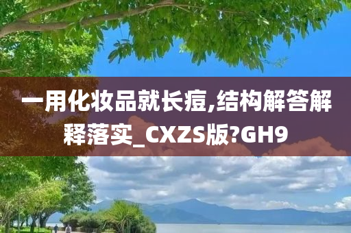 一用化妆品就长痘,结构解答解释落实_CXZS版?GH9