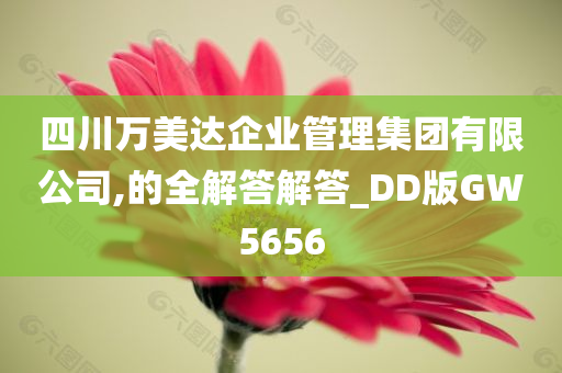 四川万美达企业管理集团有限公司,的全解答解答_DD版GW5656