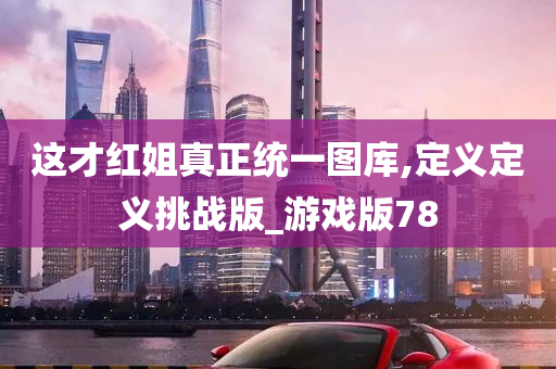 这才红姐真正统一图库,定义定义挑战版_游戏版78