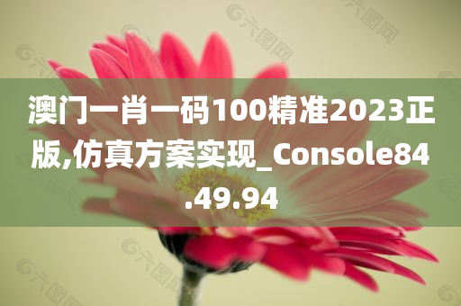 澳门一肖一码100精准2023正版,仿真方案实现_Console84.49.94