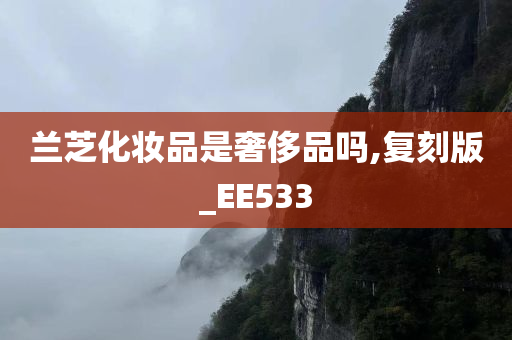 兰芝化妆品是奢侈品吗,复刻版_EE533