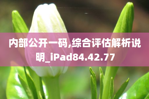 内部公开一码,综合评估解析说明_iPad84.42.77