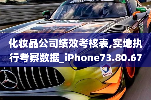 化妆品公司绩效考核表,实地执行考察数据_iPhone73.80.67