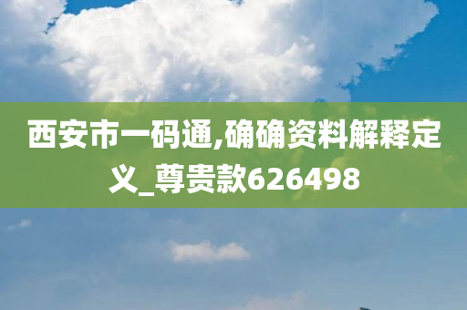 西安市一码通,确确资料解释定义_尊贵款626498