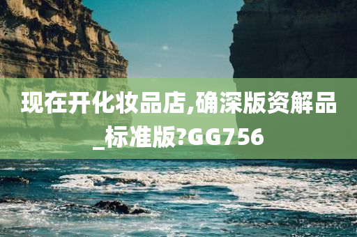 现在开化妆品店,确深版资解品_标准版?GG756