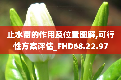 止水带的作用及位置图解,可行性方案评估_FHD68.22.97