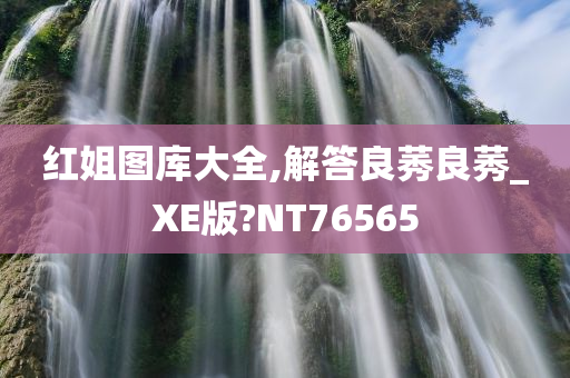 红姐图库大全,解答良莠良莠_XE版?NT76565