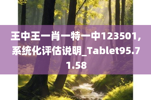 王中王一肖一特一中123501,系统化评估说明_Tablet95.71.58