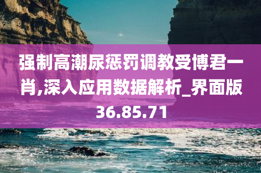 强制高潮尿惩罚调教受博君一肖,深入应用数据解析_界面版36.85.71