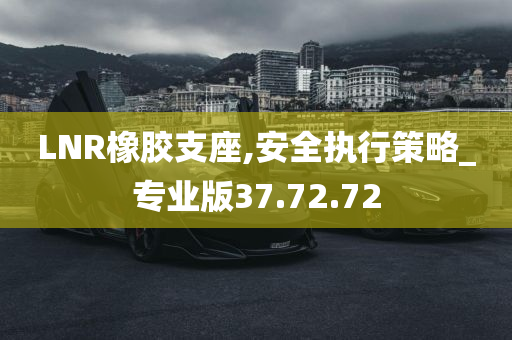 LNR橡胶支座,安全执行策略_专业版37.72.72