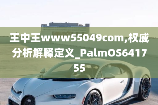 王中王www55049com,权威分析解释定义_PalmOS641755