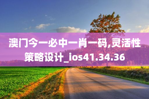 澳门今一必中一肖一码,灵活性策略设计_ios41.34.36