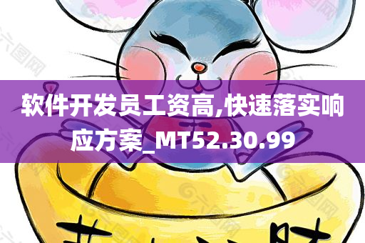 软件开发员工资高,快速落实响应方案_MT52.30.99