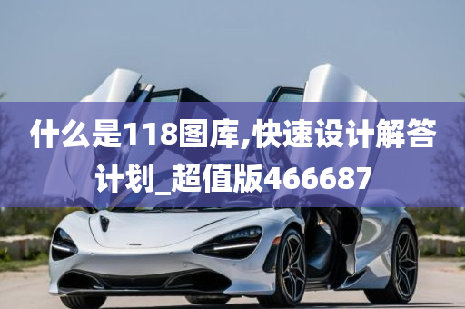 什么是118图库,快速设计解答计划_超值版466687