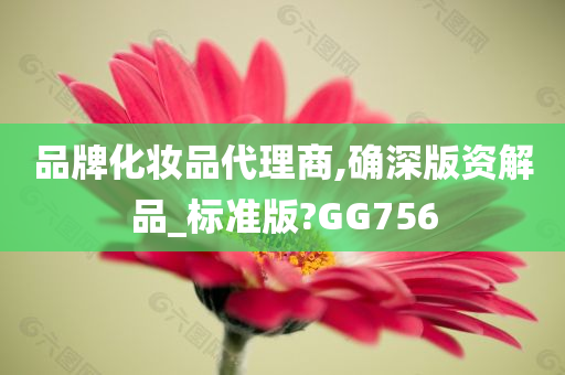 品牌化妆品代理商,确深版资解品_标准版?GG756