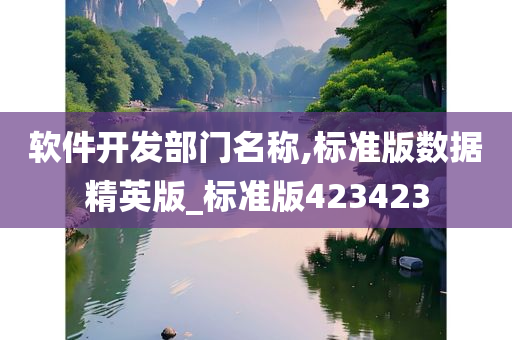 软件开发部门名称,标准版数据精英版_标准版423423