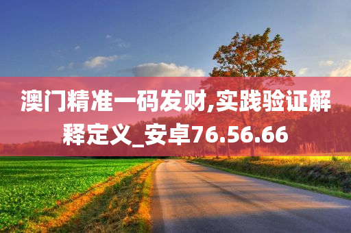 澳门精准一码发财,实践验证解释定义_安卓76.56.66