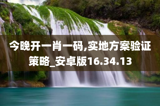 今晚开一肖一码,实地方案验证策略_安卓版16.34.13