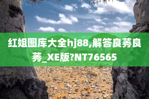 红姐图库大全hj88,解答良莠良莠_XE版?NT76565