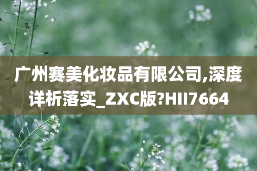 广州赛美化妆品有限公司,深度详析落实_ZXC版?HII7664