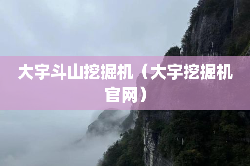 大宇斗山挖掘机（大宇挖掘机官网）