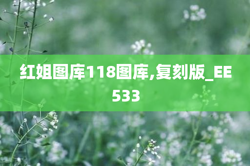 红姐图库118图库,复刻版_EE533